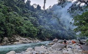 Lucky Bamboo'Bungalows-Resto And Orangutan Jungle Trekking Tours