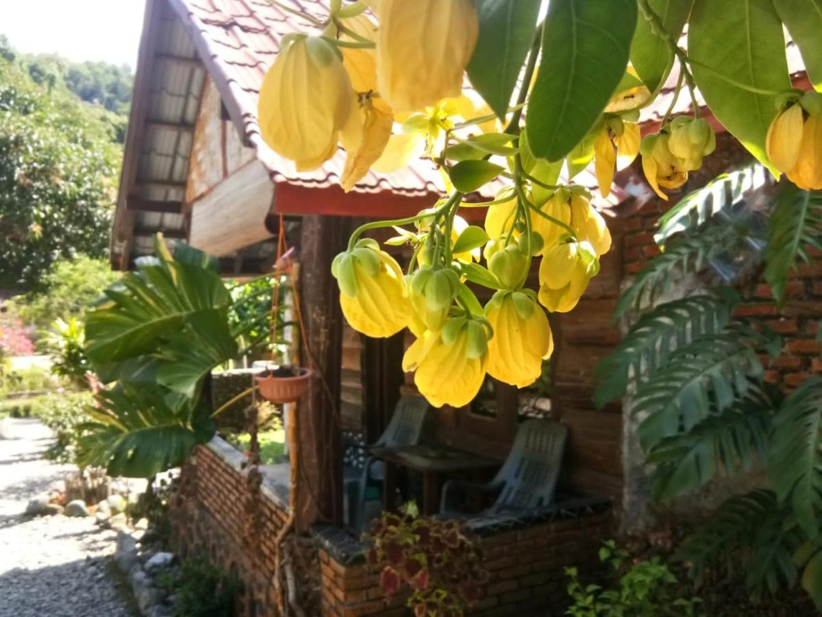 Lucky Bamboo'Bungalows-Resto And Orangutan Jungle Trekking Tours Bukit Lawang Esterno foto