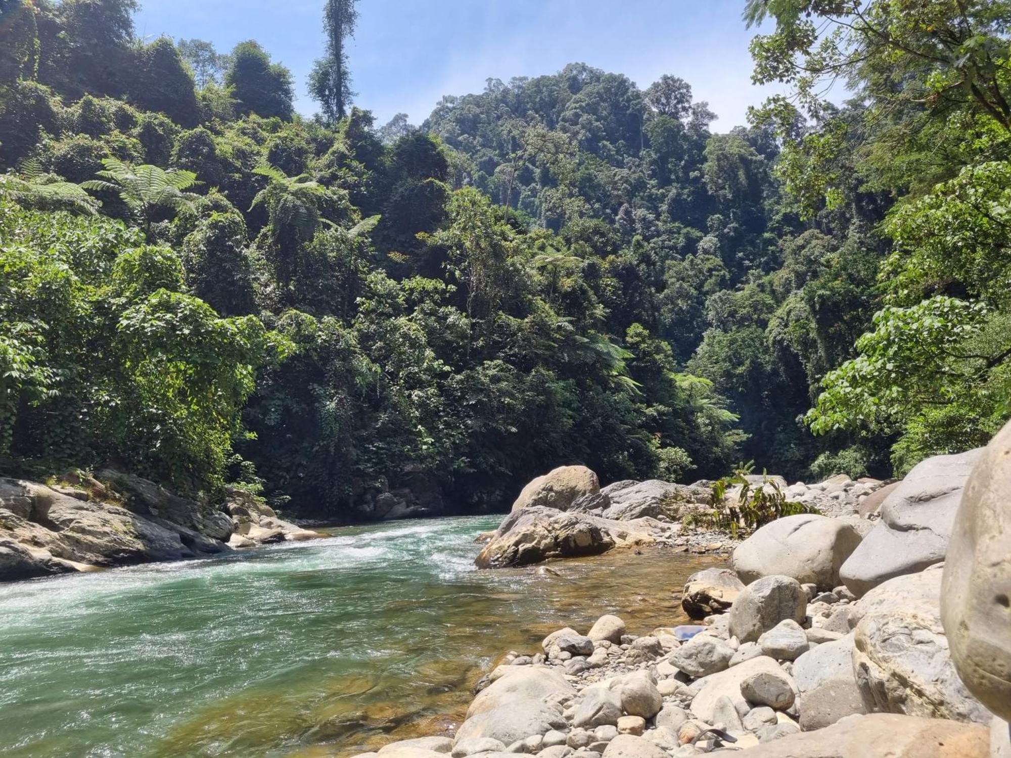 Lucky Bamboo'Bungalows-Resto And Orangutan Jungle Trekking Tours Bukit Lawang Esterno foto
