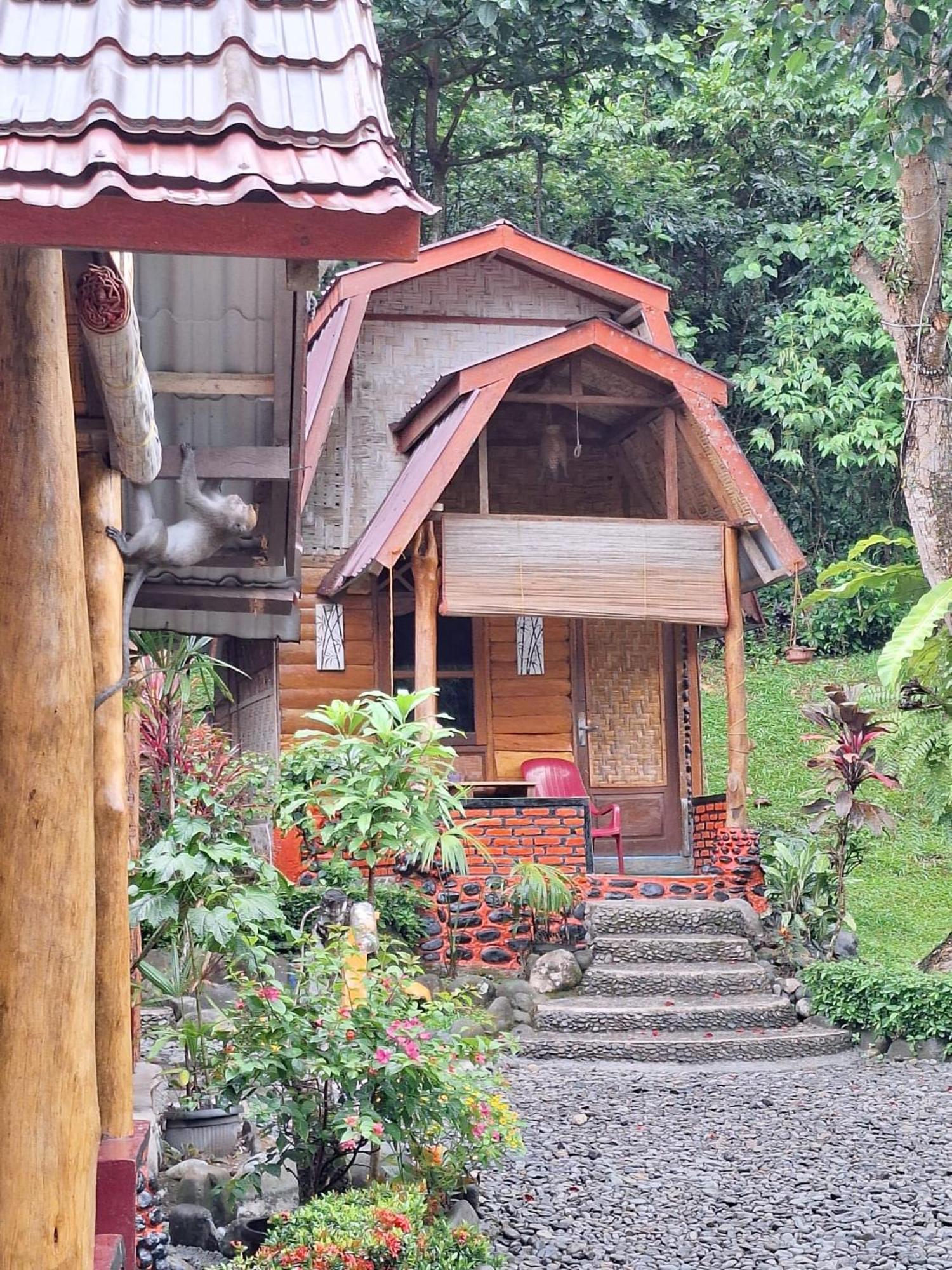Lucky Bamboo'Bungalows-Resto And Orangutan Jungle Trekking Tours Bukit Lawang Esterno foto